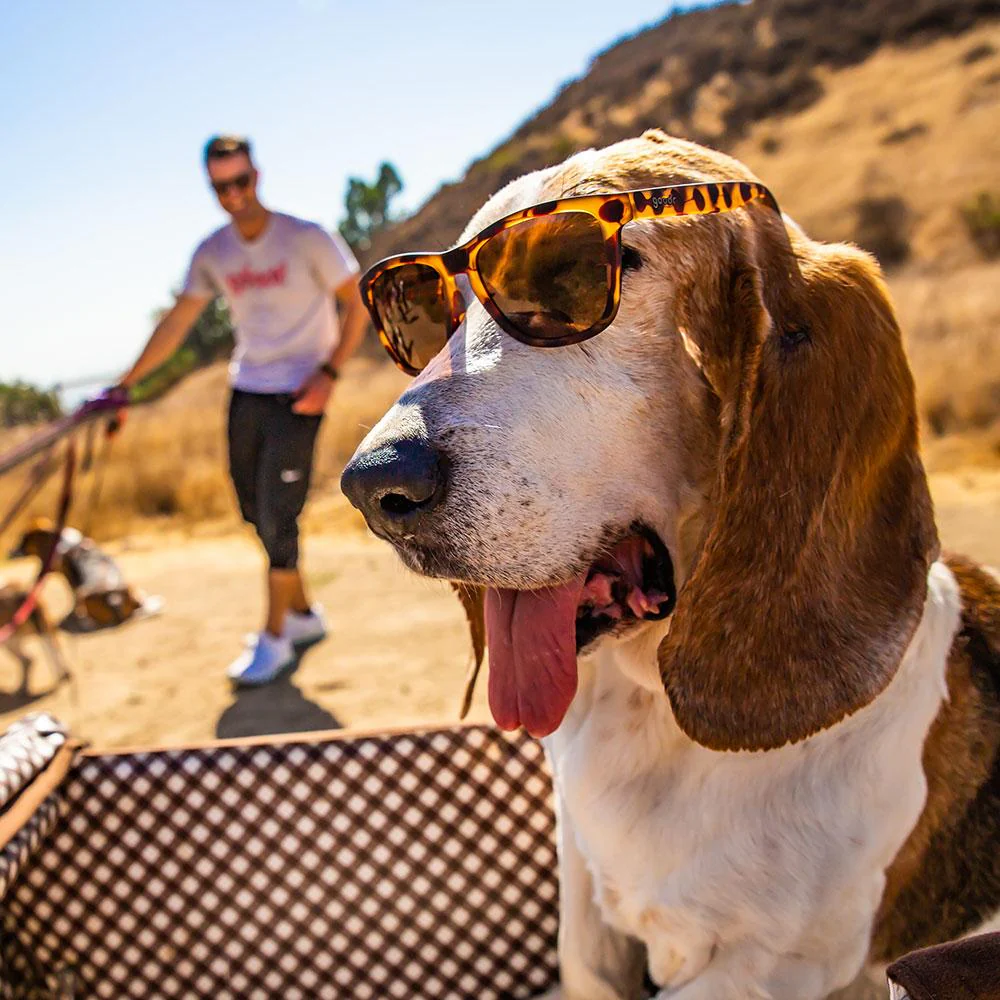 Goodr "Bosley's Basset Hound Dreams' - Image 3