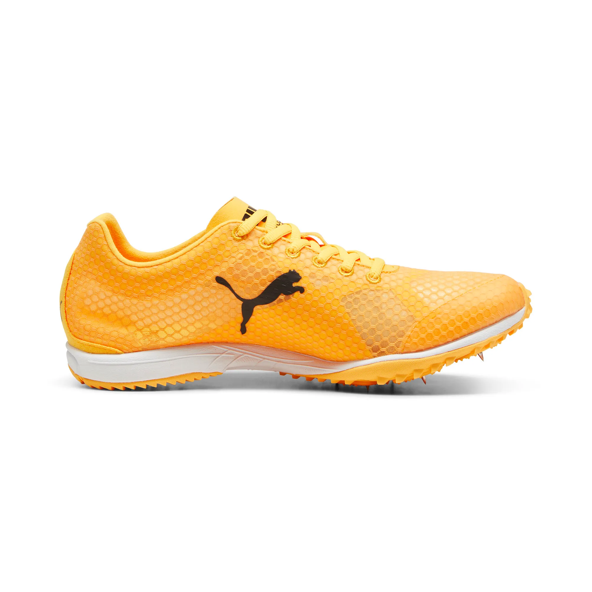 Puma evoSPEED Haraka 8 Cross Country Spikes - Sun Stream/Puma Black/Puma White - Image 3